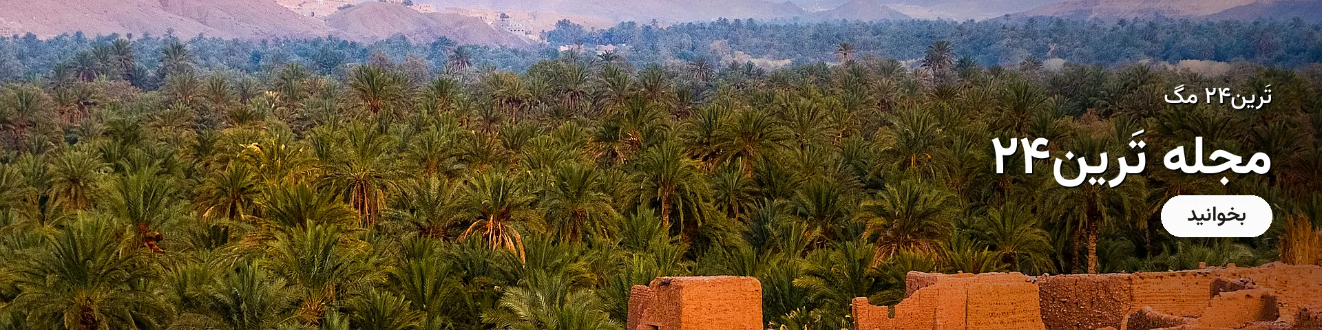 مگ
